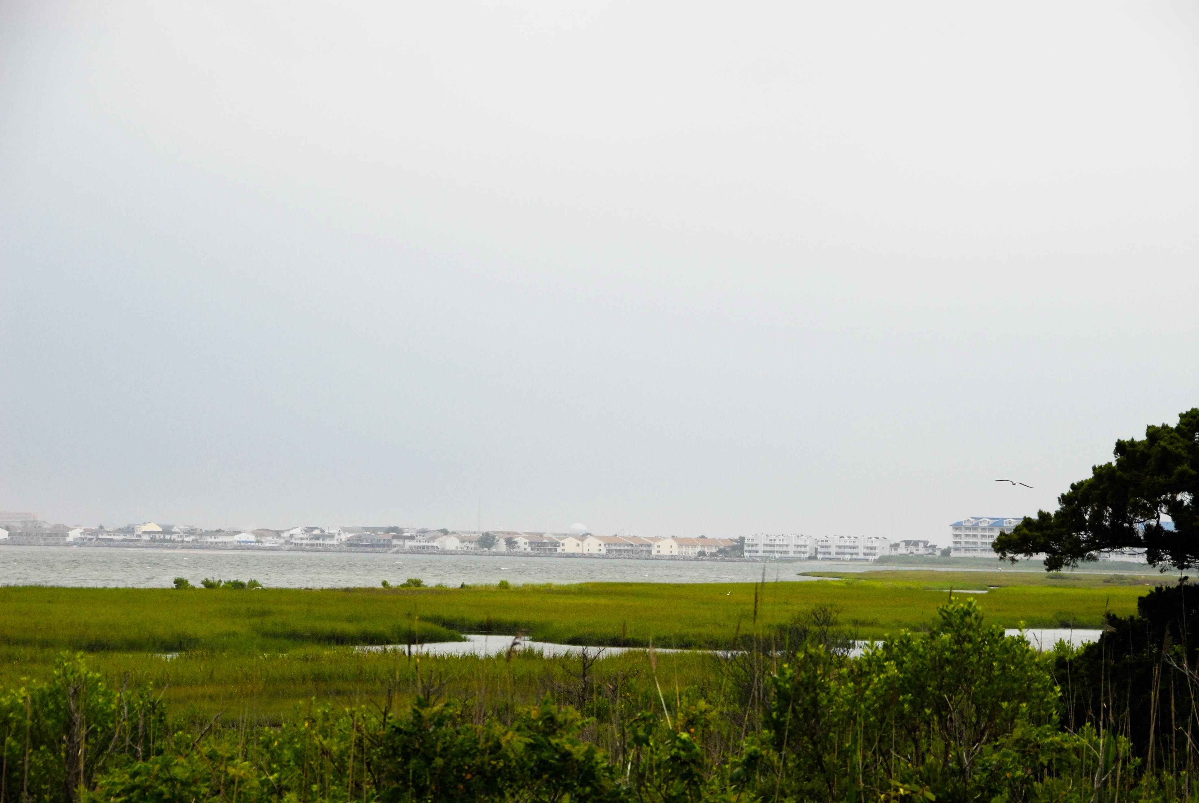 Lagoon at the Jersey Shore
