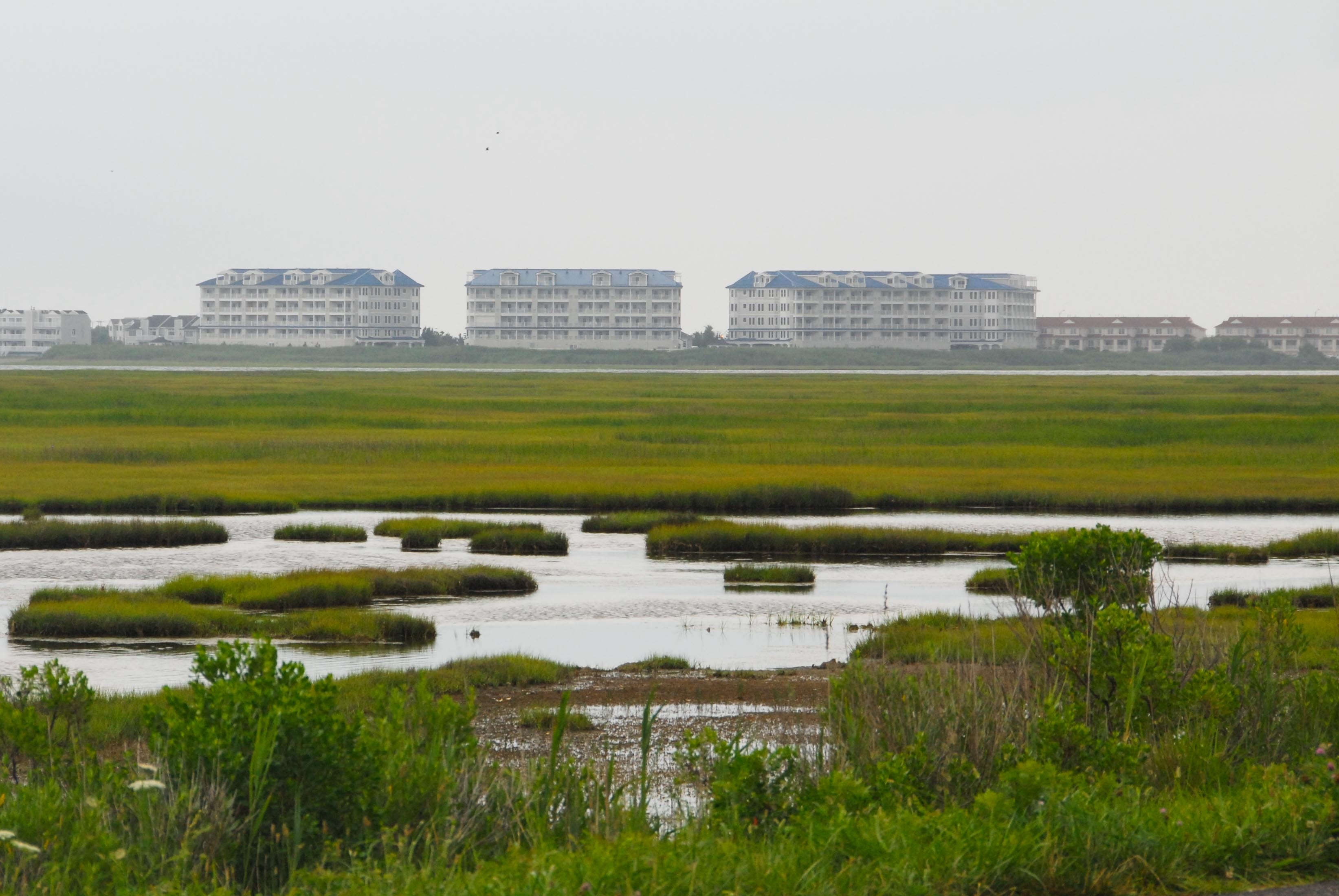 Lagoon at the Jersey Shore